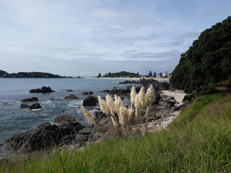 Downtown Mount B And B Mount Maunganui Kültér fotó